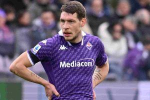 belotti fiorentina