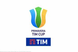 logo primavera tim cup