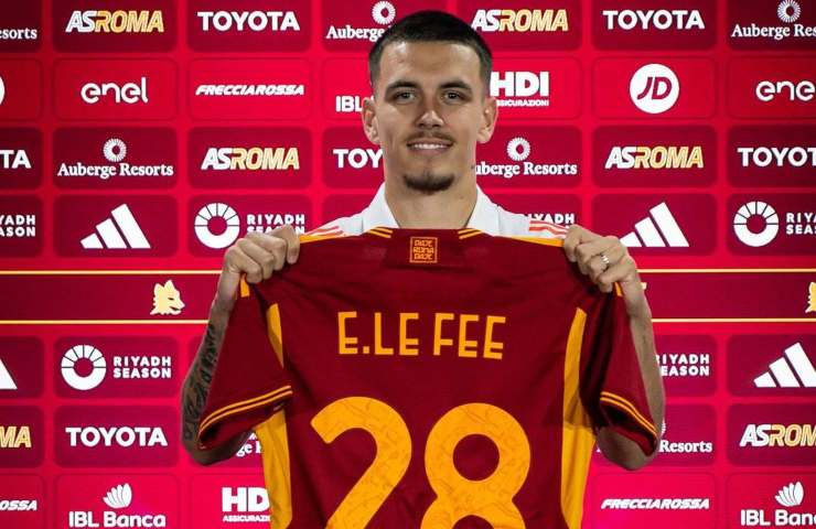 Enzo le fee