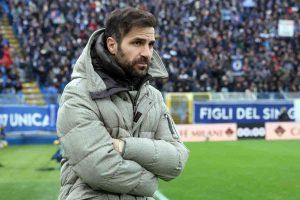 fabregas 1200