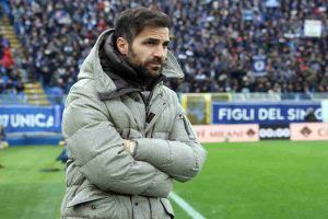 Cesc Fabregas