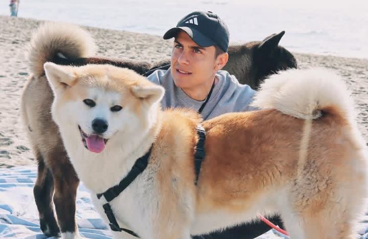 Paulo Dybala con i suoi due Akita
