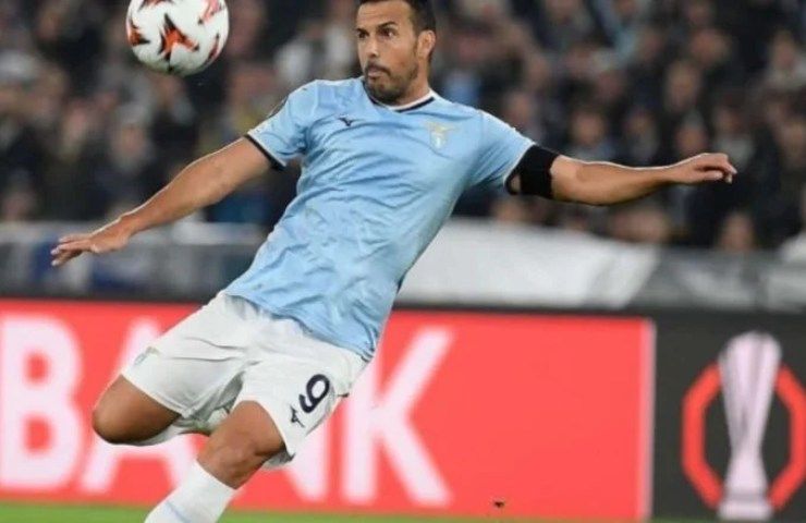 Pedro
