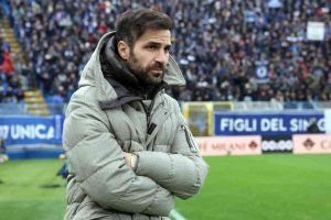 fabregas 1200