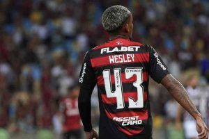 Aggiornamento importantissimo Wesley