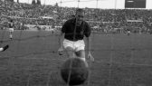 Piedone Manfredini