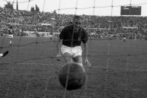 Piedone Manfredini