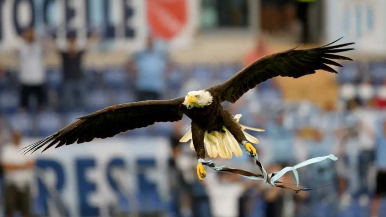 aquila olimpia lotito 2