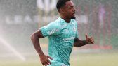 Allan Palmeiras