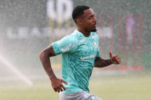Allan Palmeiras