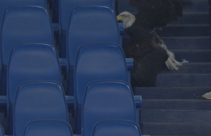 Aquila Flaminia cade in tribuna